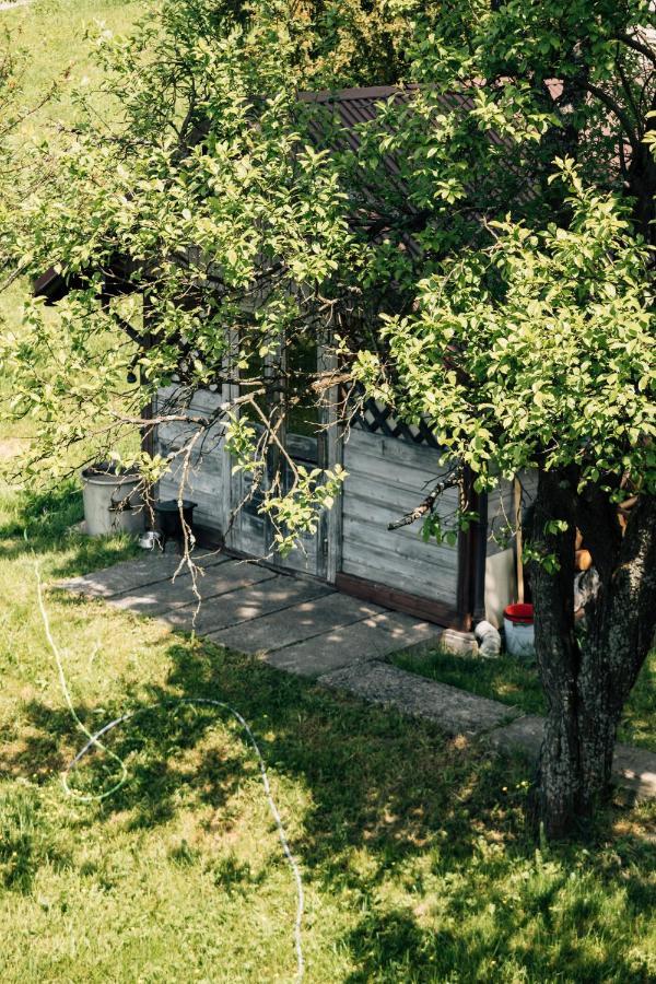 Apartamenty Madzia 비스와 외부 사진