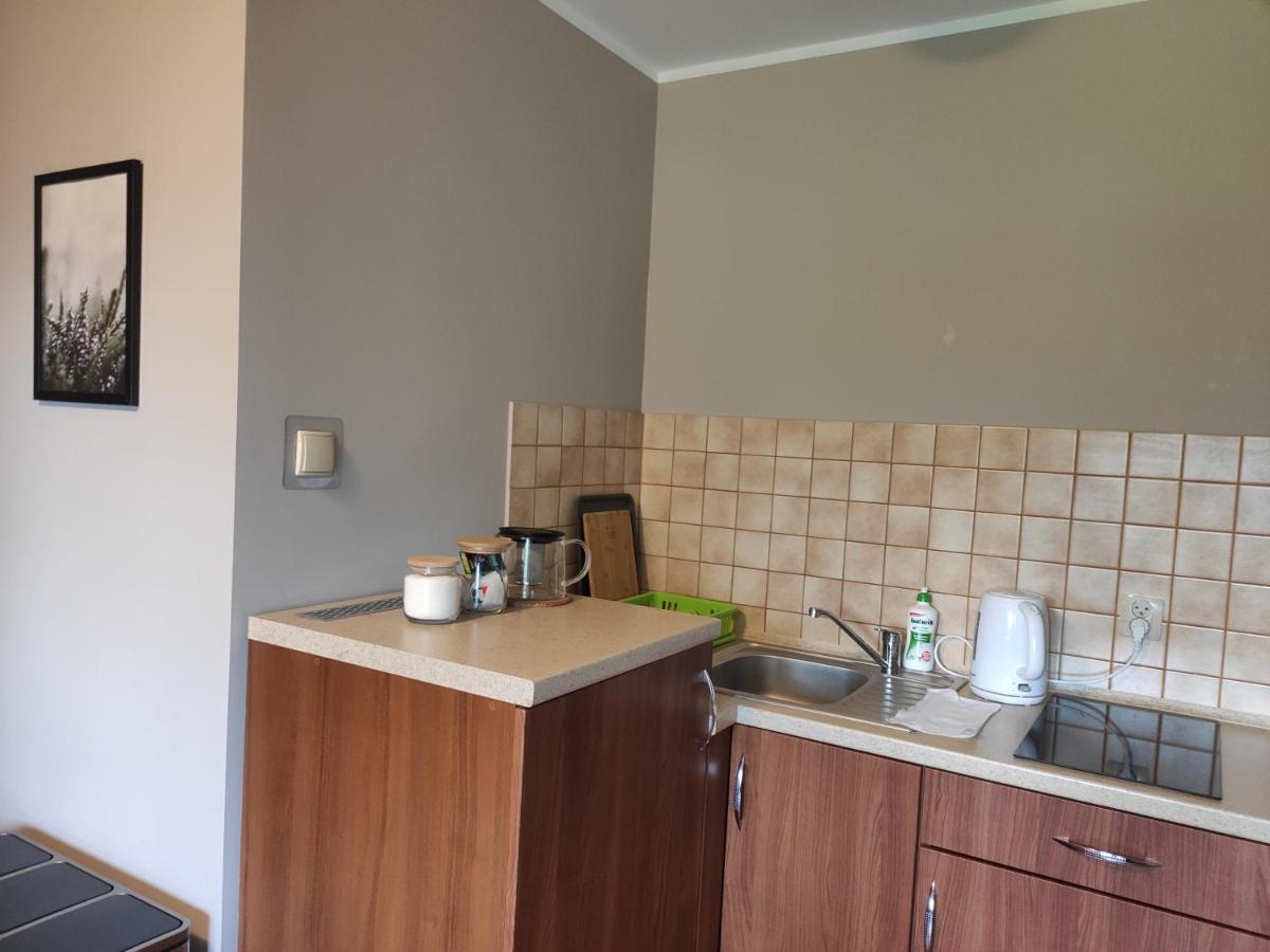 Apartamenty Madzia 비스와 외부 사진